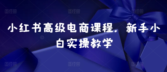 小红书高级电商课程，新手小白实操教学-指尖网