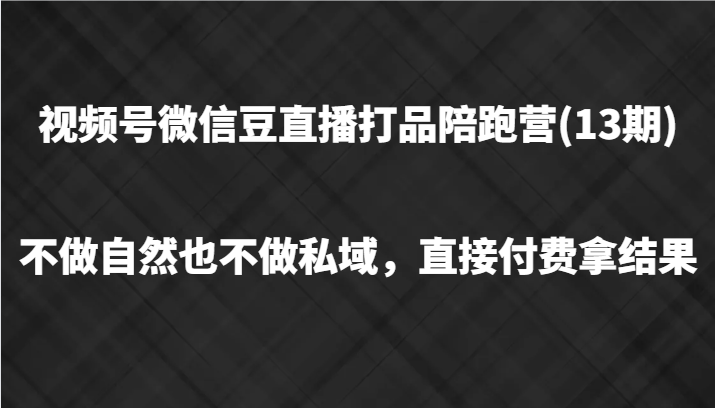 视频号微信豆直播打品陪跑(13期)，不做不自然流不做私域，直接付费拿结果-指尖网