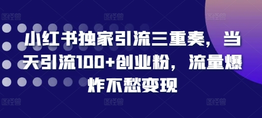 小红书独家引流三重奏，当天引流100+创业粉，流量爆炸不愁变现【揭秘】-指尖网