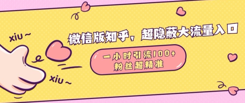 微信版知乎，超隐蔽流量入口1小时引流100人，粉丝质量超高【揭秘】-指尖网