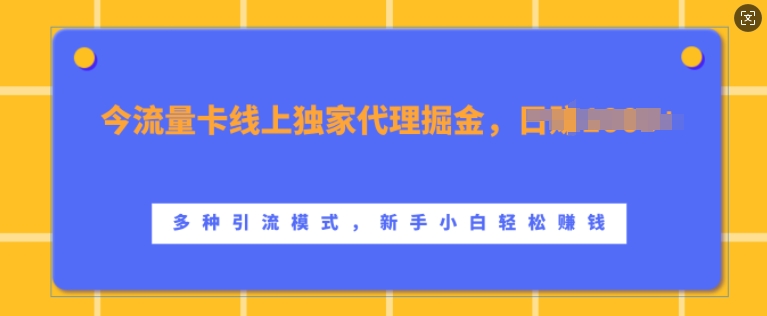 流量卡线上独家代理掘金，日入1k+ ，多种引流模式，新手小白轻松上手【揭秘】-指尖网