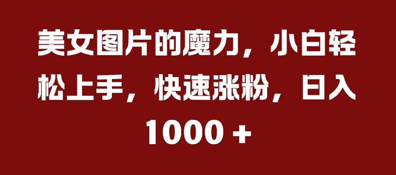 美女图片的魔力，小白轻松上手，快速涨粉，日入几张【揭秘】-指尖网