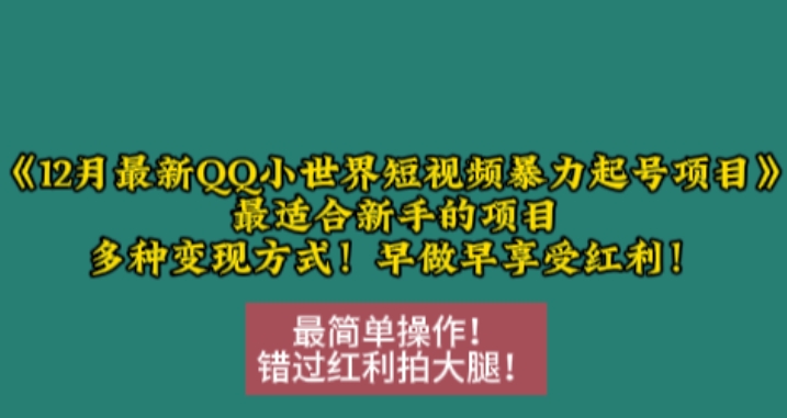 12月最新QQ小世界短视频暴力起号项目，最适合新手的项目，多种变现方式-指尖网