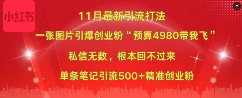 小红书11月最新图片打粉，一张图片引爆创业粉，“预算4980带我飞”，单条引流500+精准创业粉-指尖网