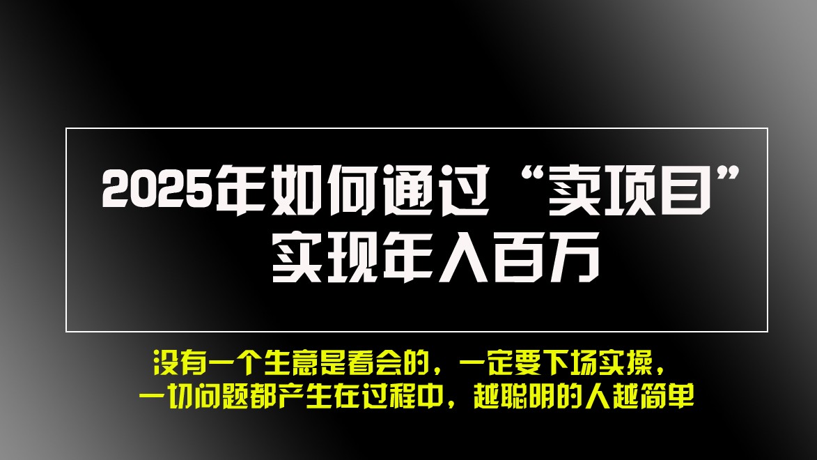 2025年如何通过“卖项目”实现年入百万-指尖网