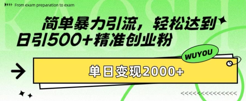 简单暴力引流，轻松达到日引500+精准创业粉，单日变现2k【揭秘】-指尖网